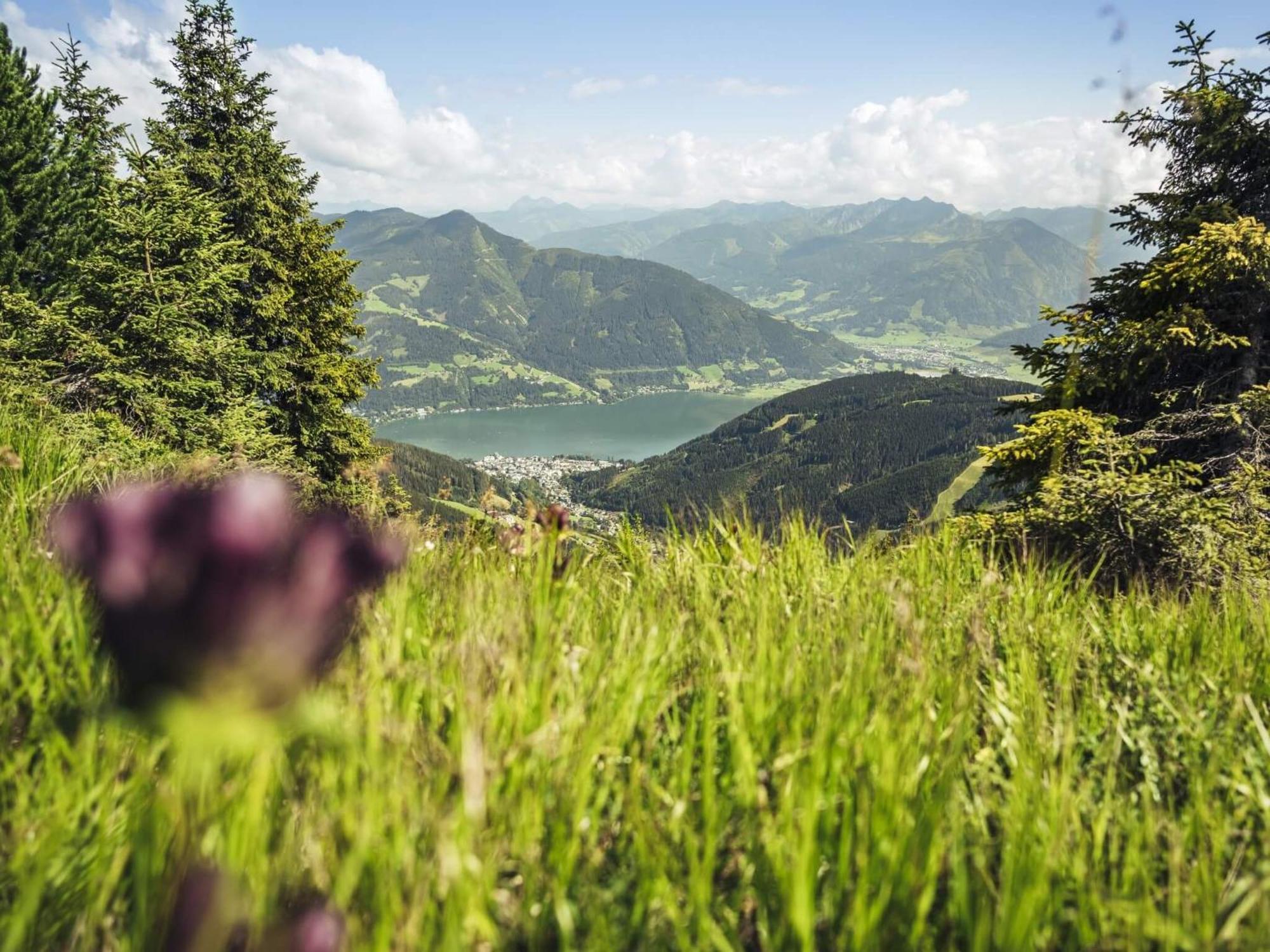 Gaestehaus Bleiweis-Zehentner Zell am See Bagian luar foto
